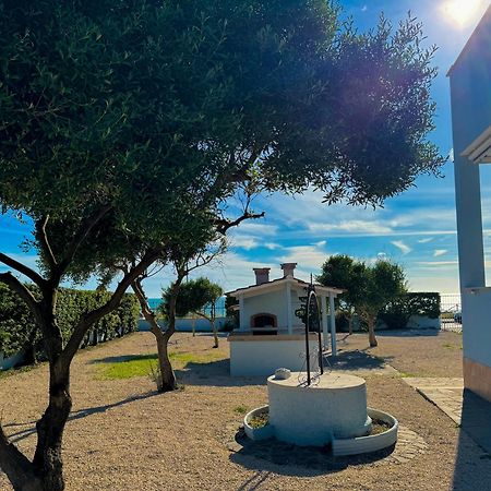 Edo House Anzio - Beachfront - Fronte Mare - Affittacamere Екстериор снимка