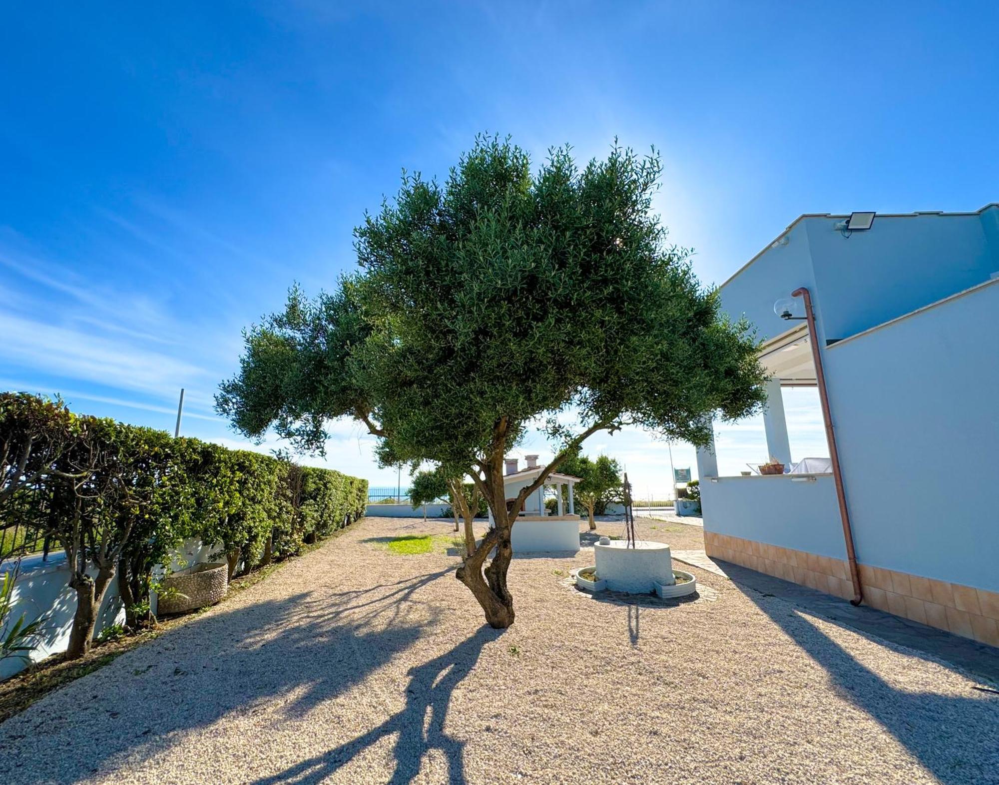 Edo House Anzio - Beachfront - Fronte Mare - Affittacamere Екстериор снимка